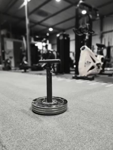 Plate-Loaded Grip Pin